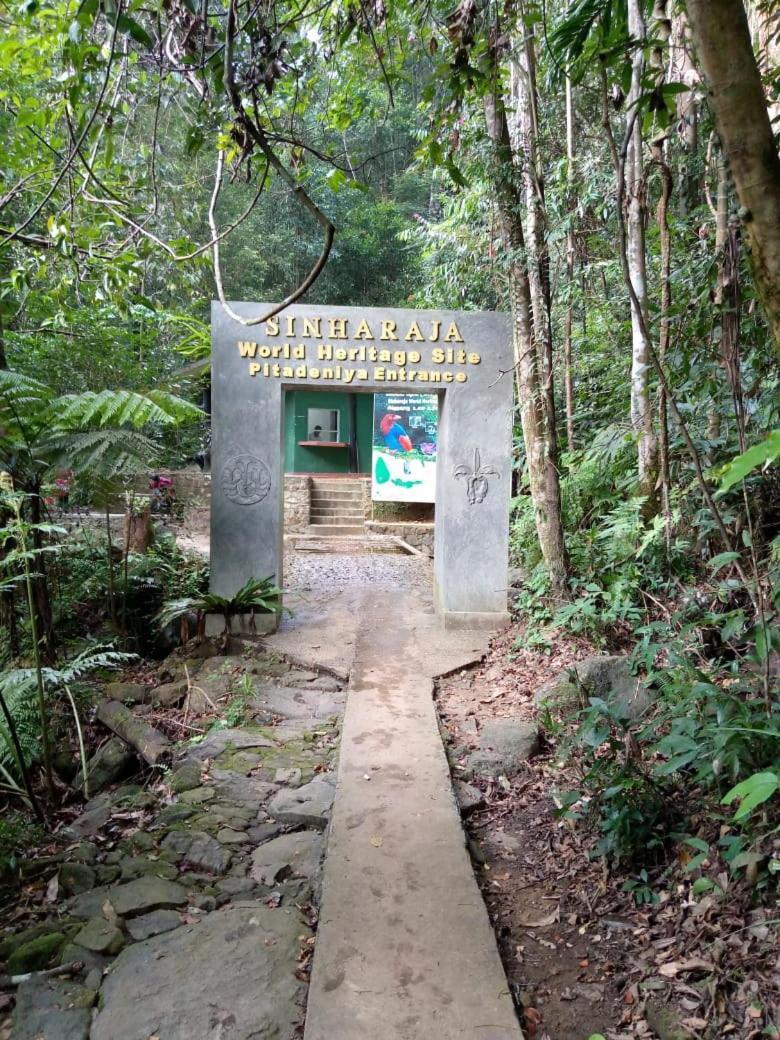 Sunshine Forest Lodge - Sinharaja Deniyaya Exterior photo