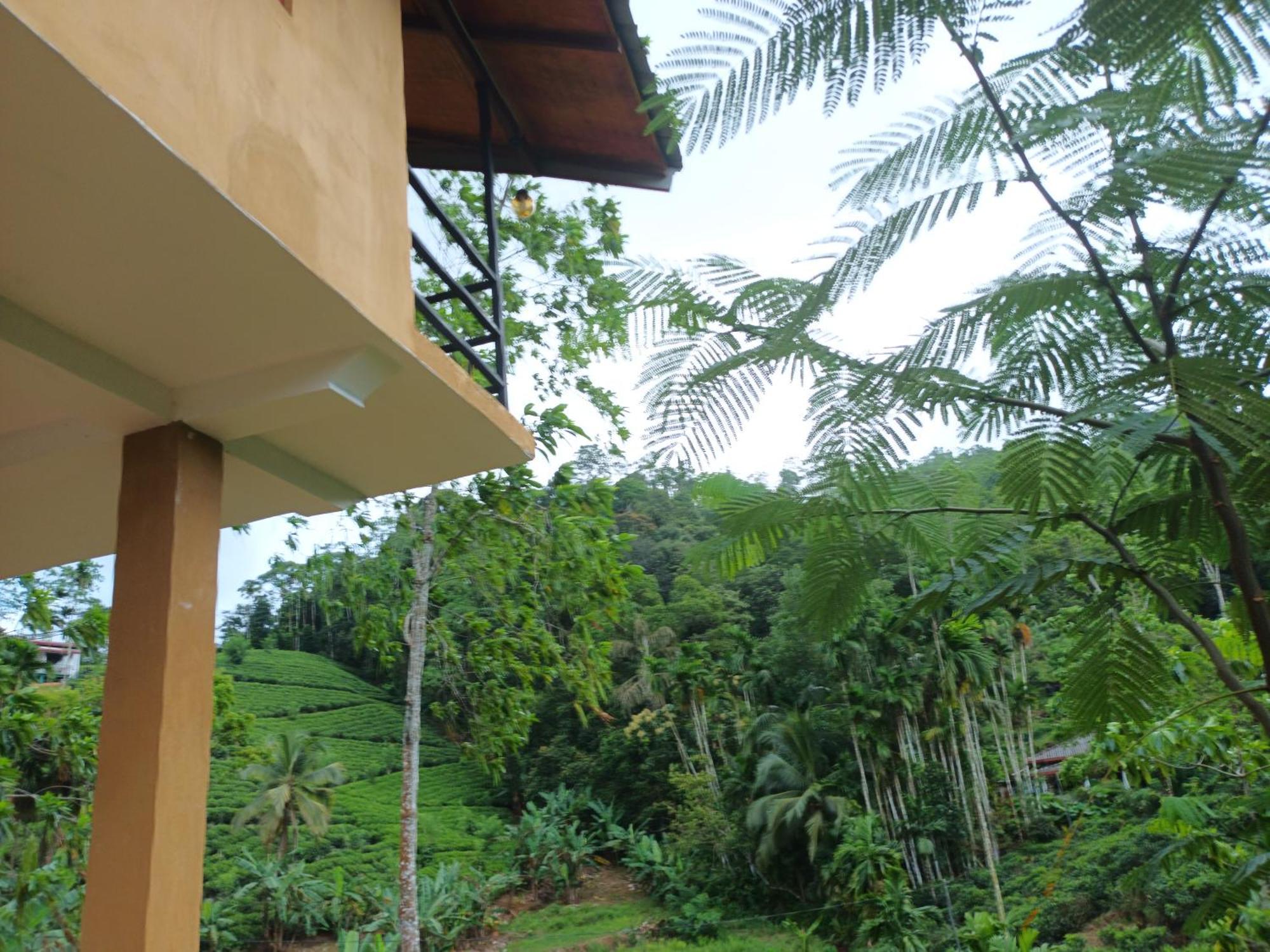 Sunshine Forest Lodge - Sinharaja Deniyaya Exterior photo